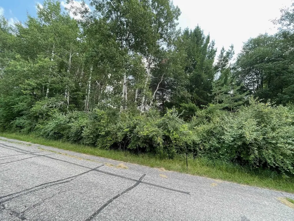 1090 Carmen Drive Sherman Township MI 48893