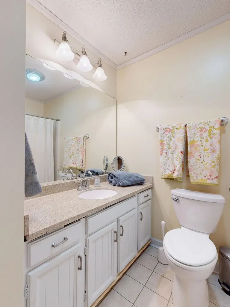 591 Cedar Drive Deerfield Township MI 48858