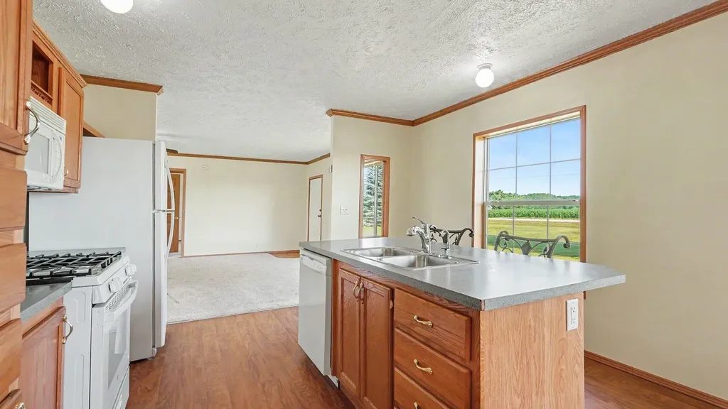 3895 W Broomfield Road Deerfield Township MI 48858