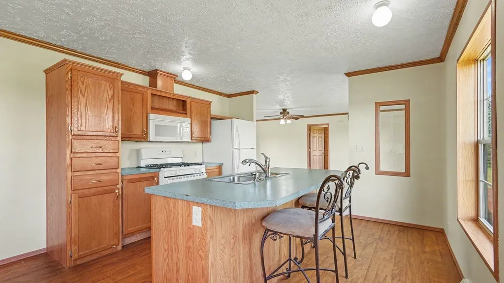 3895 W Broomfield Road Deerfield Township MI 48858