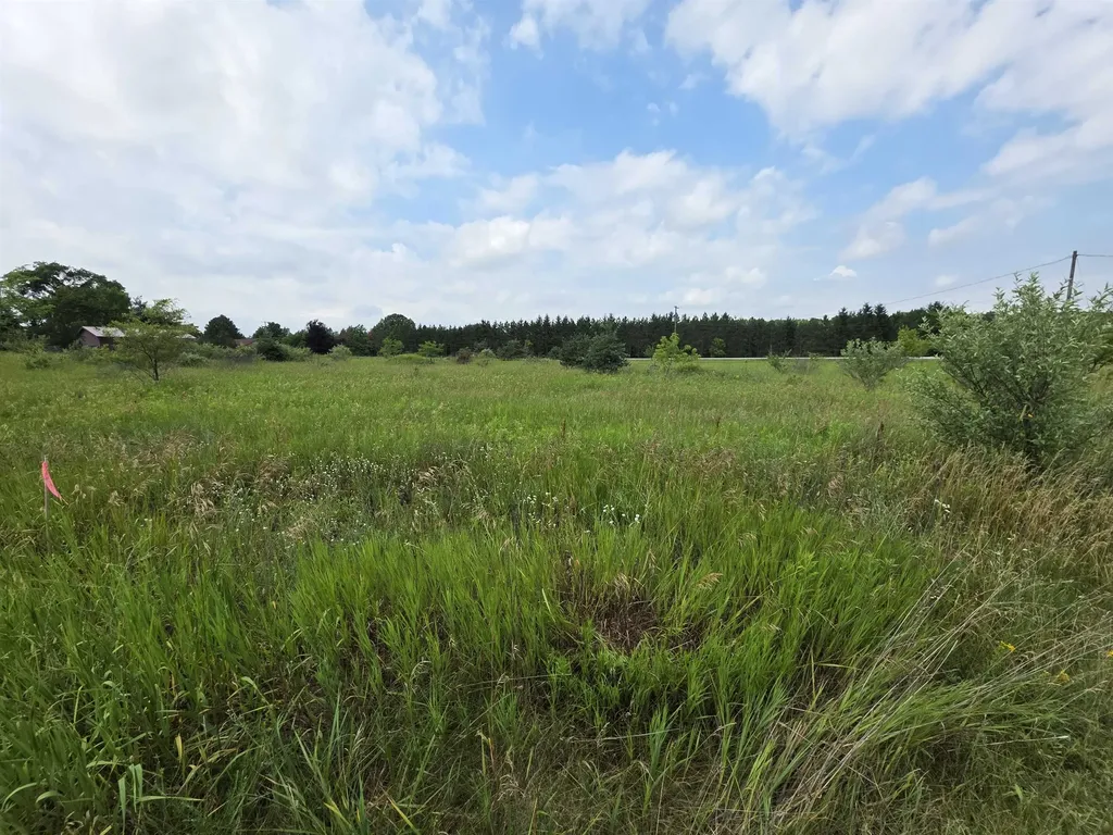 Tbd W Remus Road Deerfield Township MI 48858