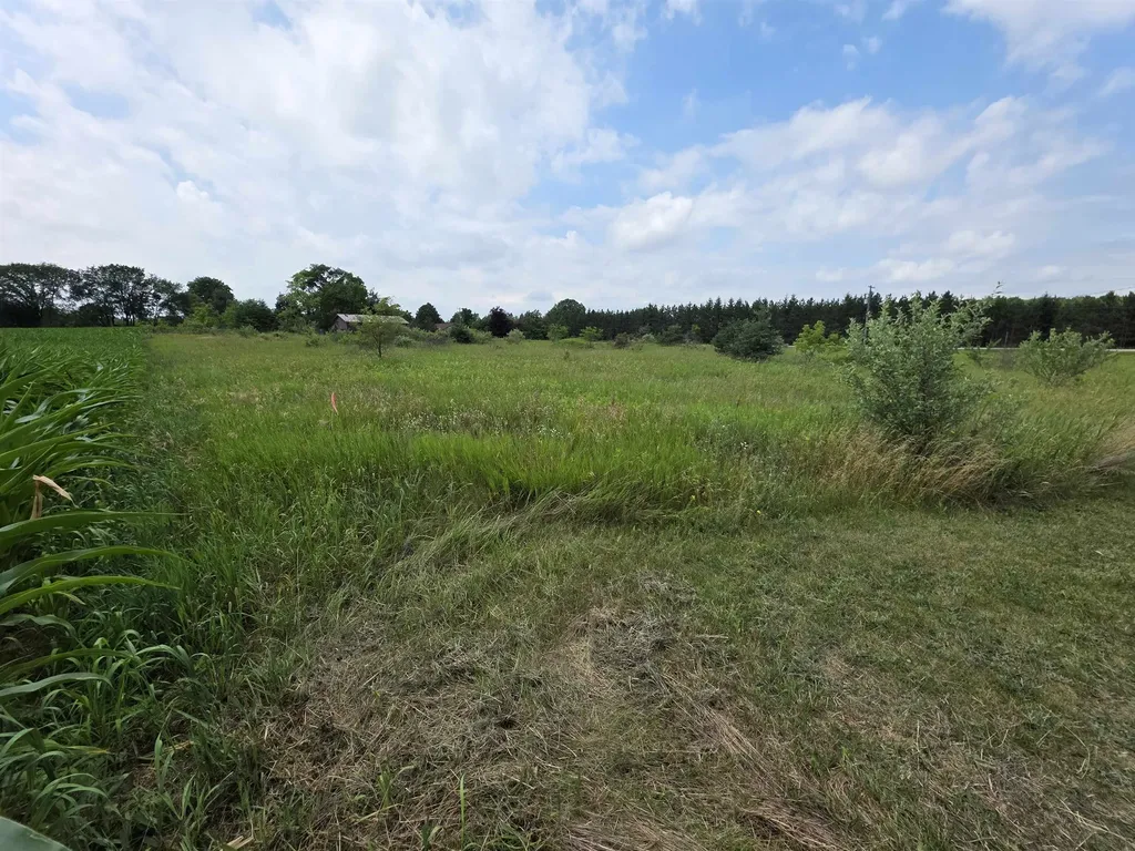 Tbd W Remus Road Deerfield Township MI 48858