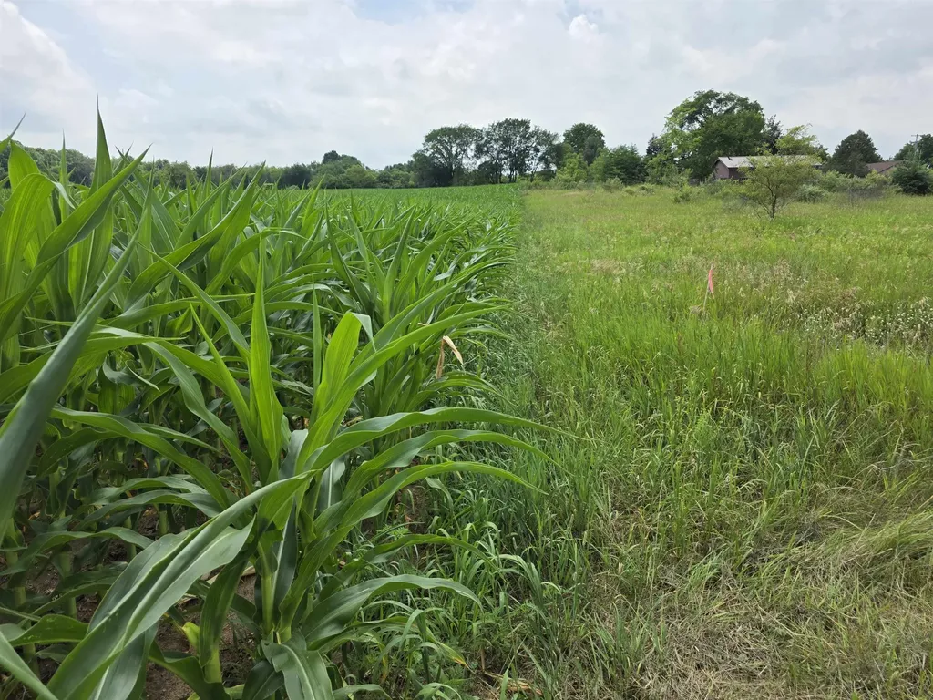 Tbd W Remus Road Deerfield Township MI 48858