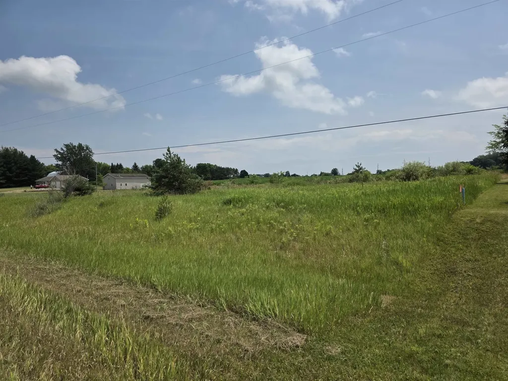 Tbd W Remus Road Deerfield Township MI 48858