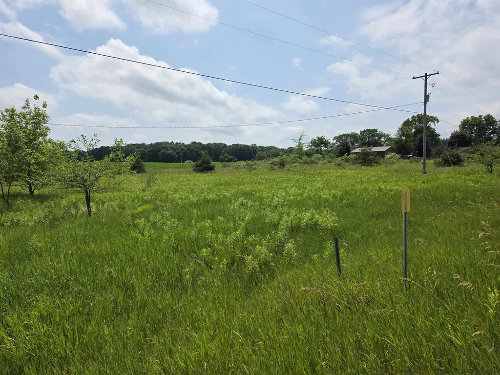 Tbd W Remus Road Deerfield Township MI 48858
