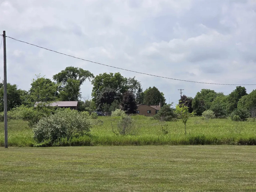 Tbd W Remus Road Deerfield Township MI 48858