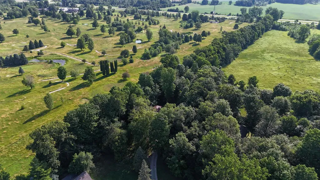 8800 Golfside Court Coe Township MI 48883