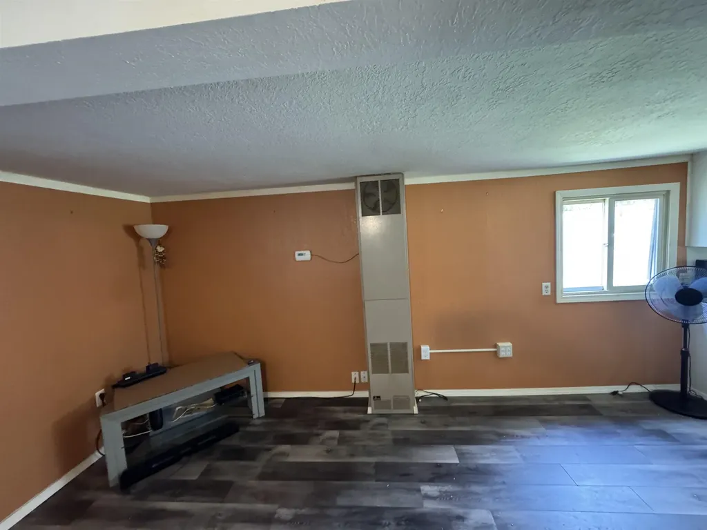 5017 Elizabeth Street Mills Township MI 48756