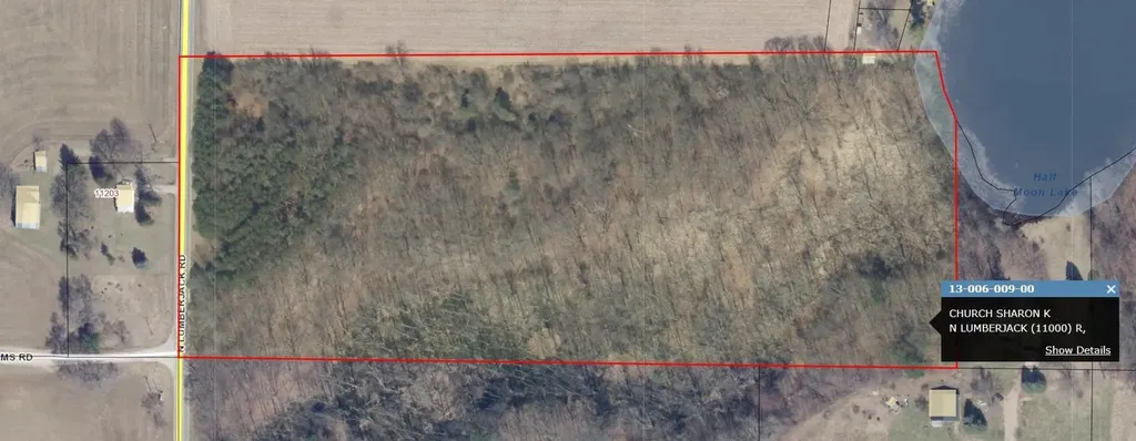 Vl N Lumberjack Road Seville Township MI 48877