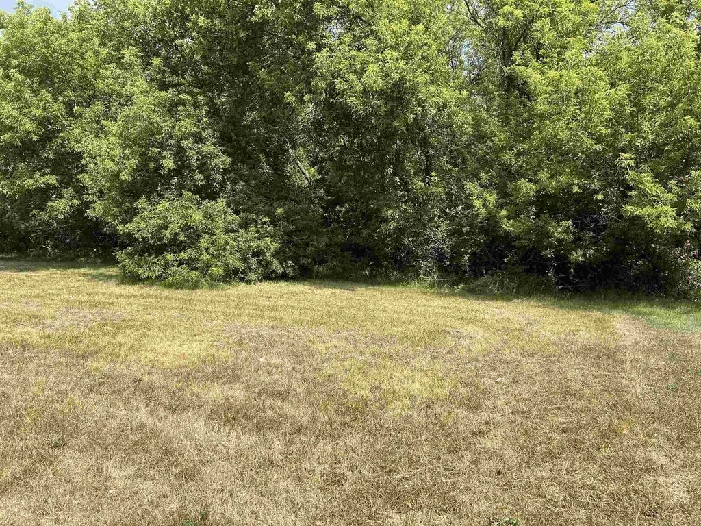 307 Red Maple Lane Shepherd Village MI 48883