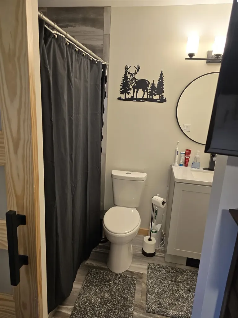 5005 White Birch Lane Lincoln Township MI 48622