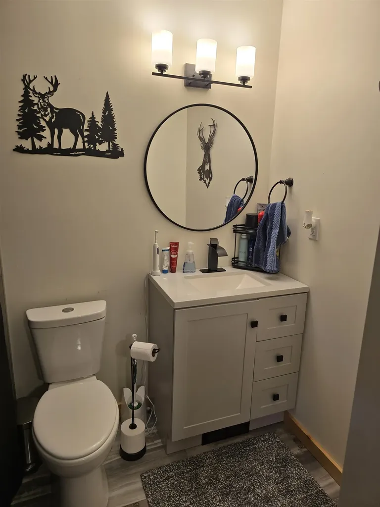 5005 White Birch Lane Lincoln Township MI 48622