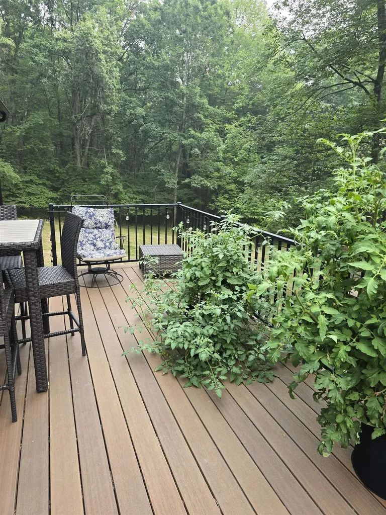 5005 White Birch Lane Lincoln Township MI 48622