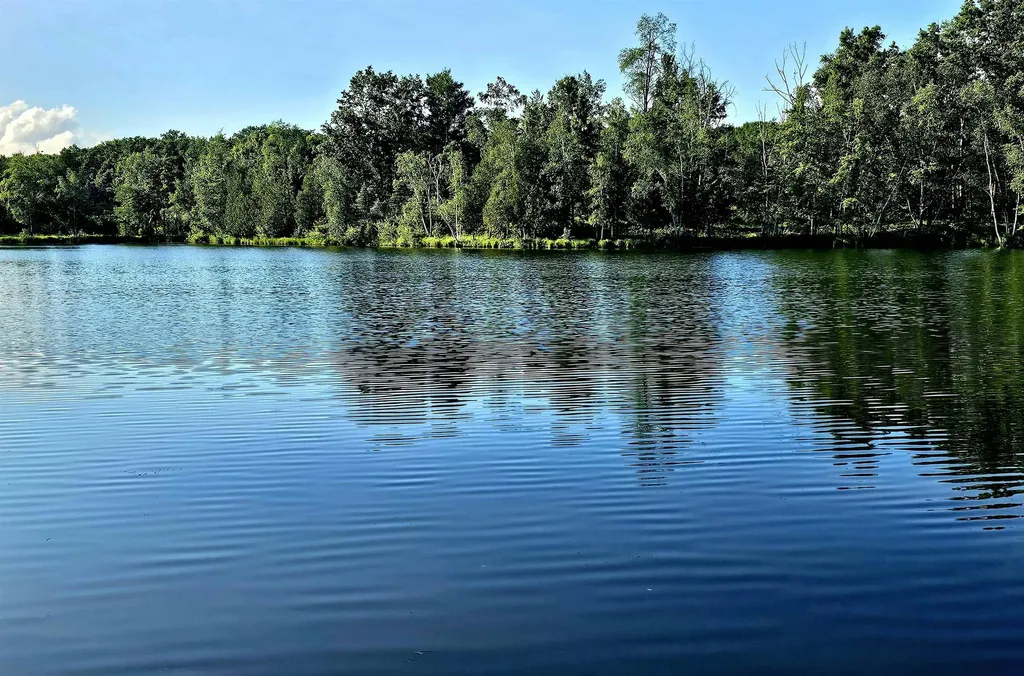 6760 W Shore Drive Sherman Township MI 48893