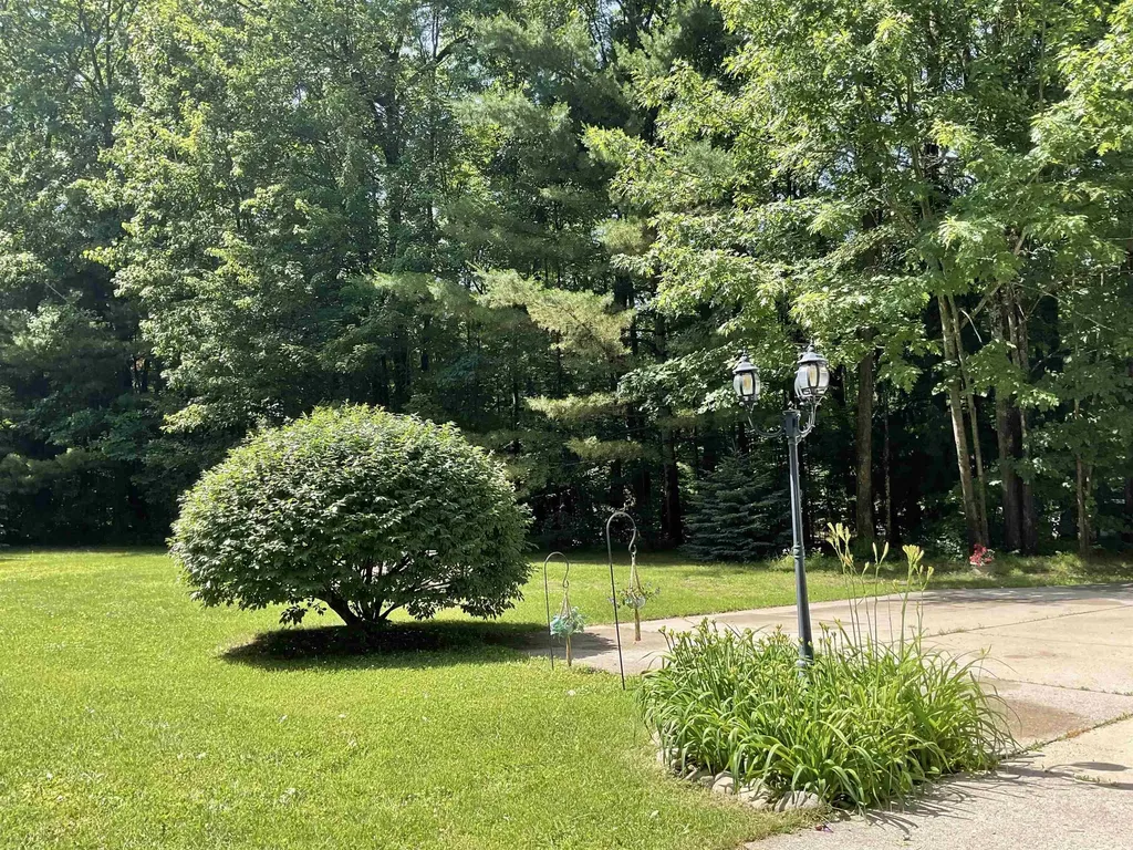 3300 E Arnold Lake Road Hayes Township MI 48625
