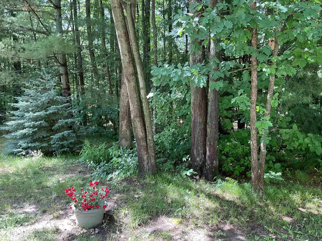 3300 E Arnold Lake Road Hayes Township MI 48625