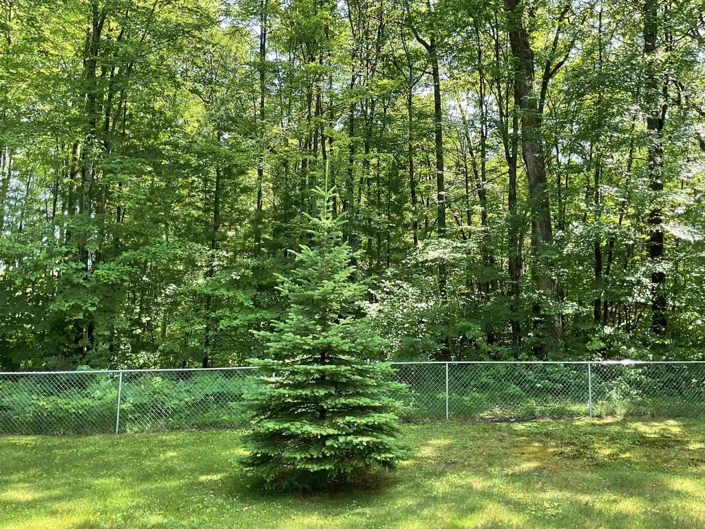 3300 E Arnold Lake Road Hayes Township MI 48625