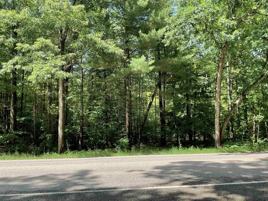 3300 E Arnold Lake Road Hayes Township MI 48625
