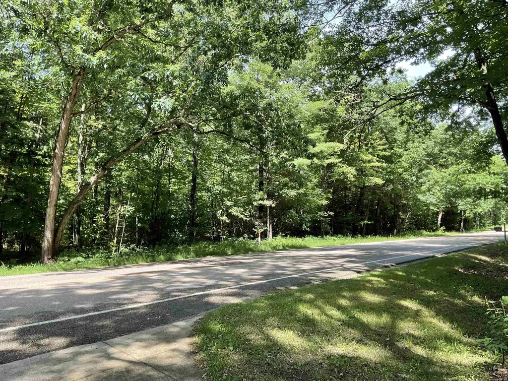 3300 E Arnold Lake Road Hayes Township MI 48625