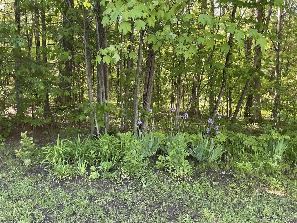 3300 E Arnold Lake Road Hayes Township MI 48625