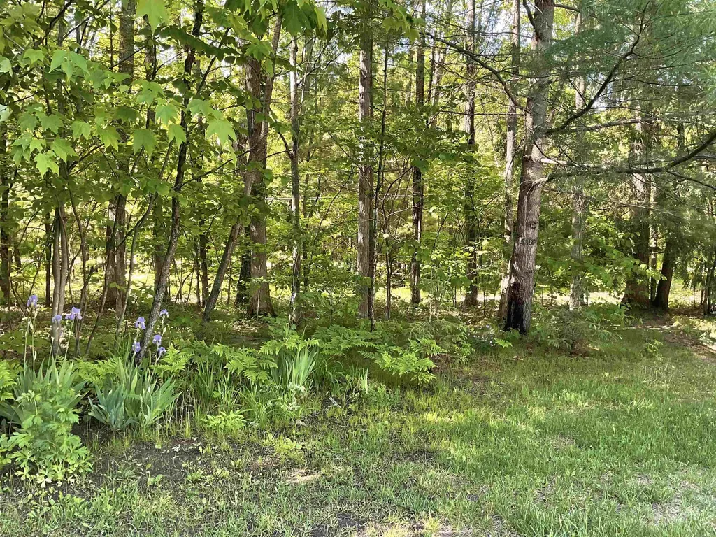 3300 E Arnold Lake Road Hayes Township MI 48625