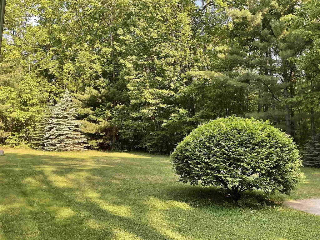 3300 E Arnold Lake Road Hayes Township MI 48625
