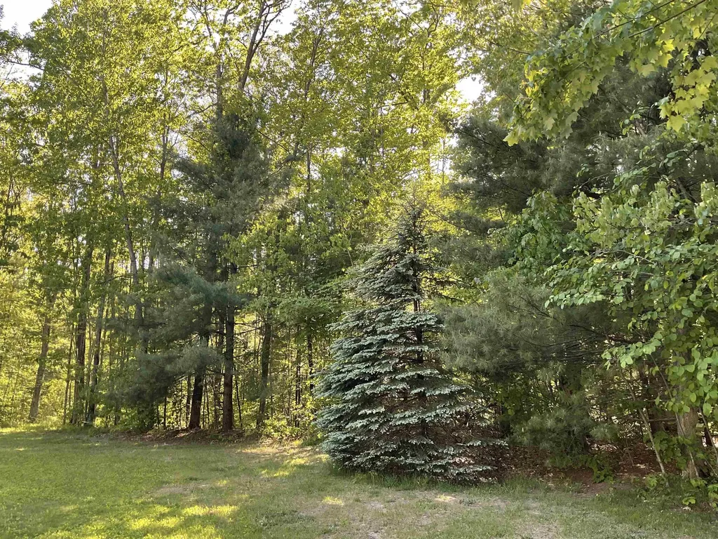 3300 E Arnold Lake Road Hayes Township MI 48625