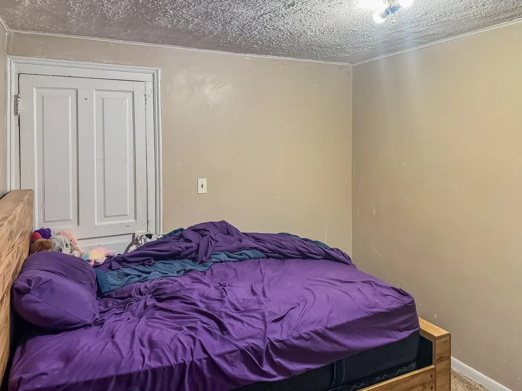319 W Saginaw Street St. Louis City MI 48880