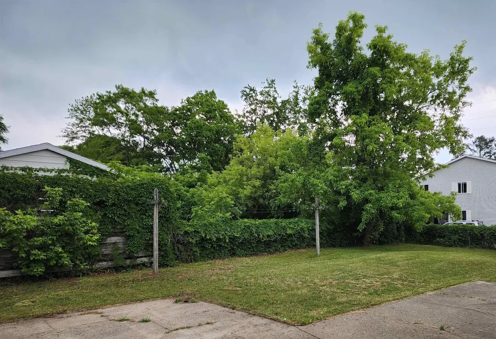 295 Birch Street Unknown City MI 48625