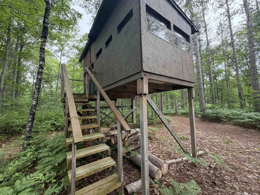 259 Hatchery Road Surrey Township MI 48622