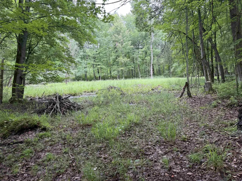 259 Hatchery Road Surrey Township MI 48622