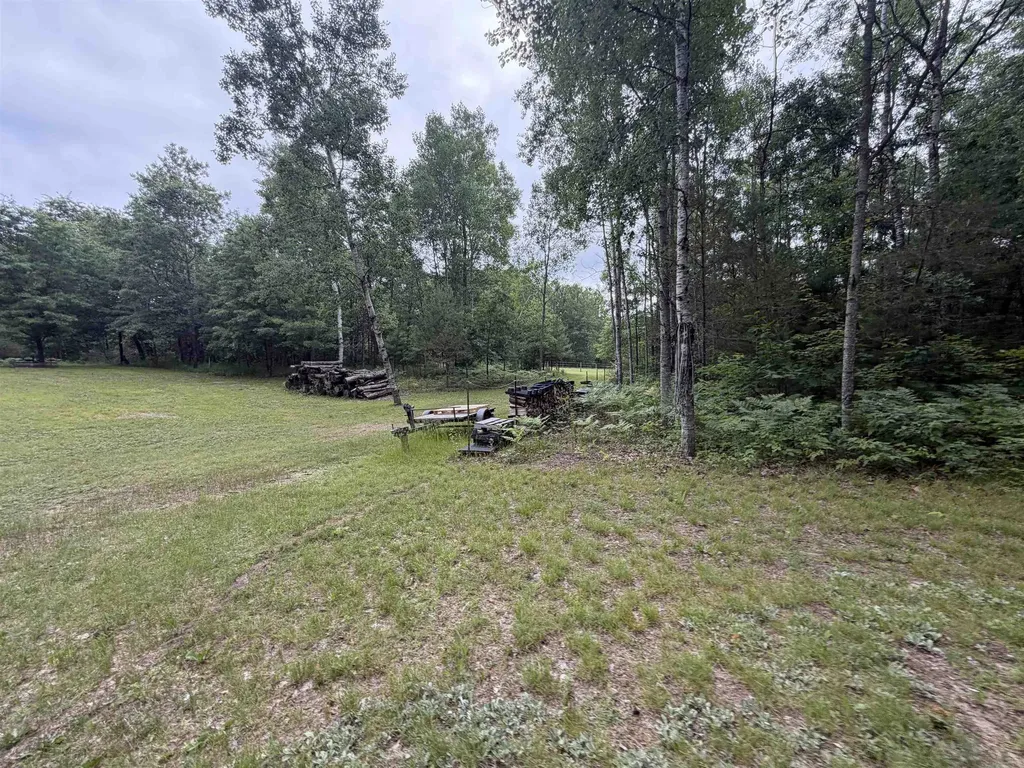 259 Hatchery Road Surrey Township MI 48622
