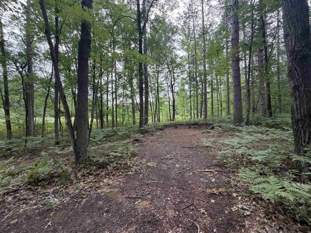 259 Hatchery Road Surrey Township MI 48622