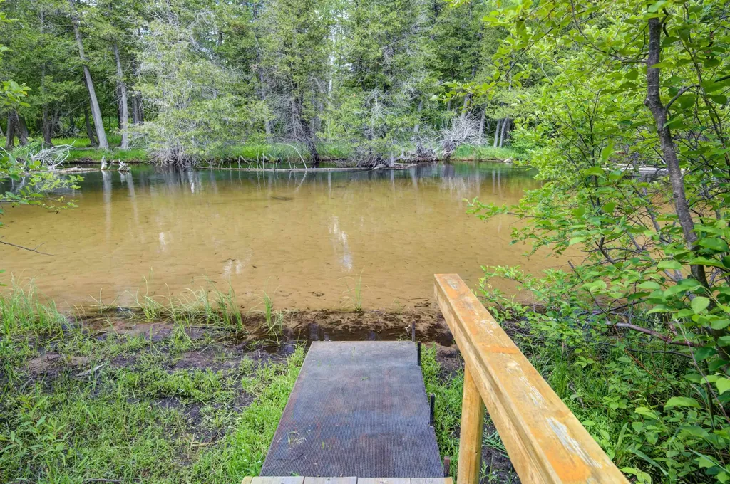 12079 Cold River Drive Bear Lake Township MI 49633