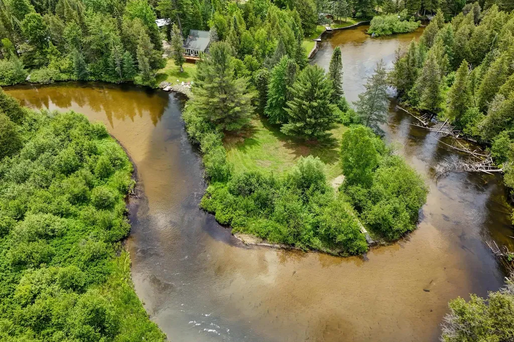 12079 Cold River Drive Bear Lake Township MI 49633