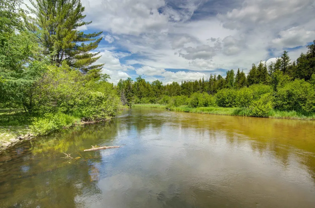 12079 Cold River Drive Bear Lake Township MI 49633