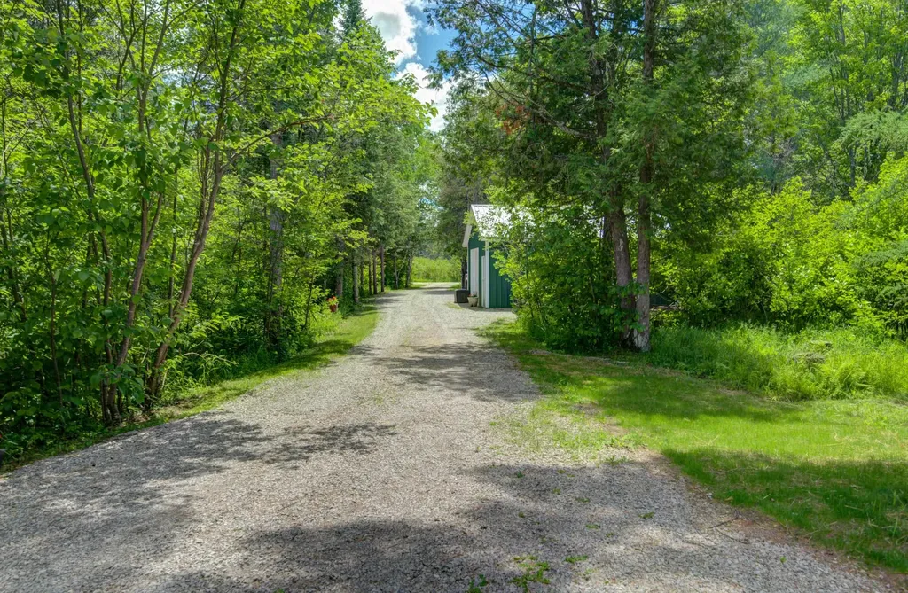 12079 Cold River Drive Bear Lake Township MI 49633