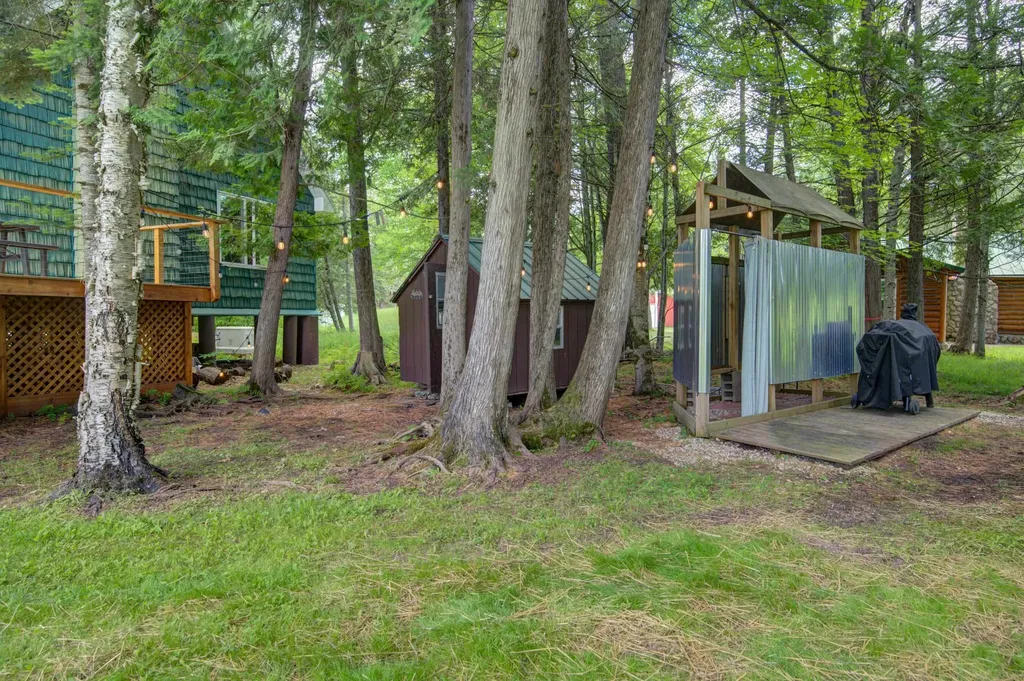 12079 Cold River Drive Bear Lake Township MI 49633