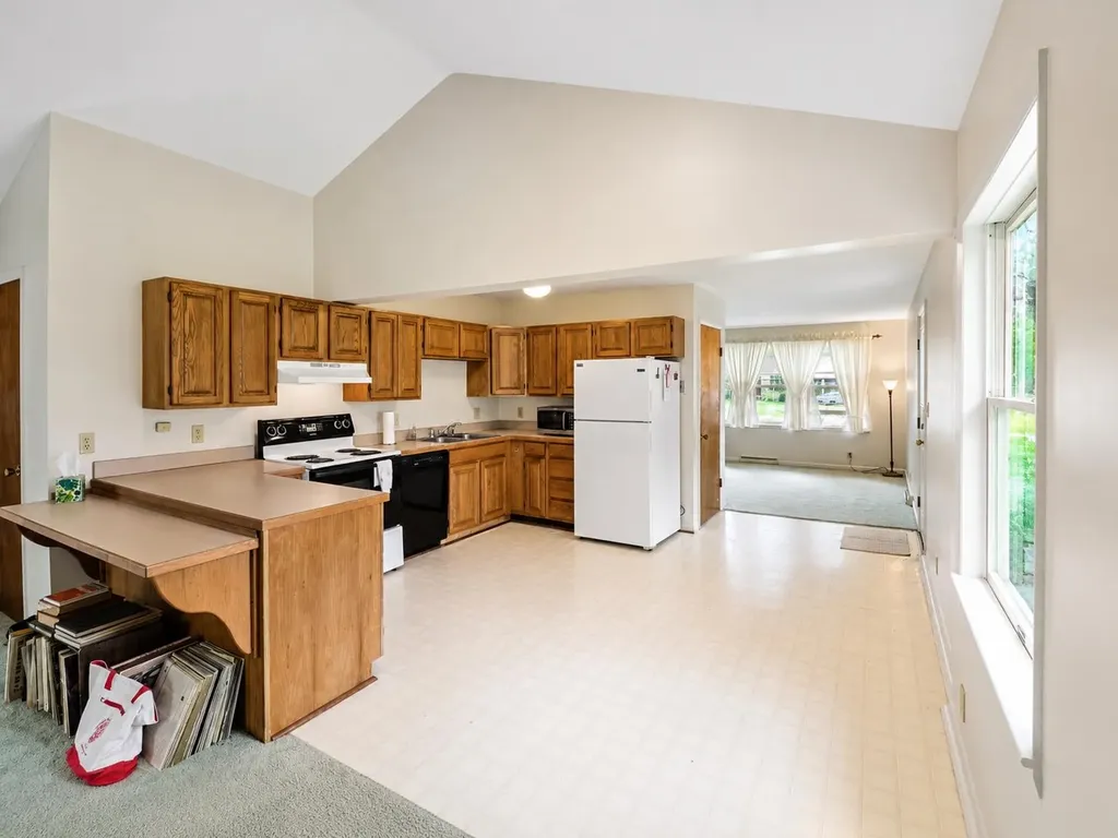 1817 Stockman Mt. Pleasant City MI 48858