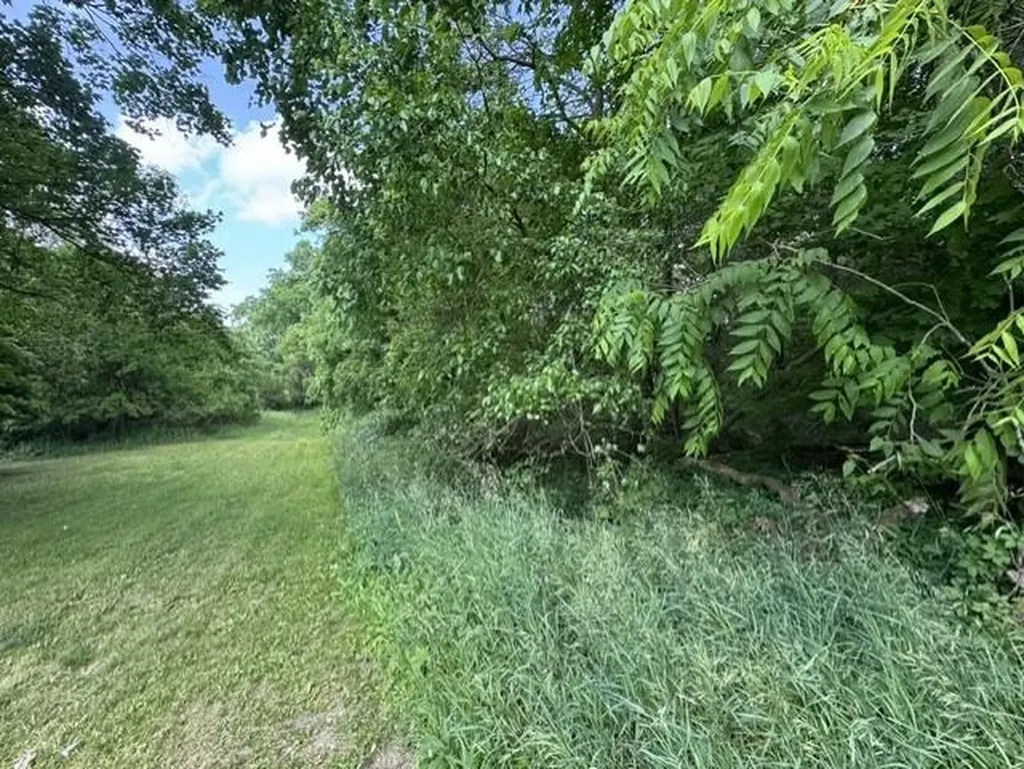Tbd N Lincoln Stanton City MI 48888