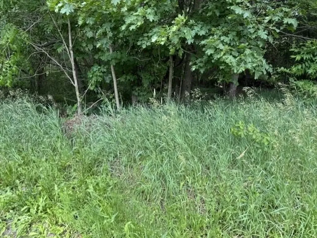 Tbd N Lincoln Stanton City MI 48888