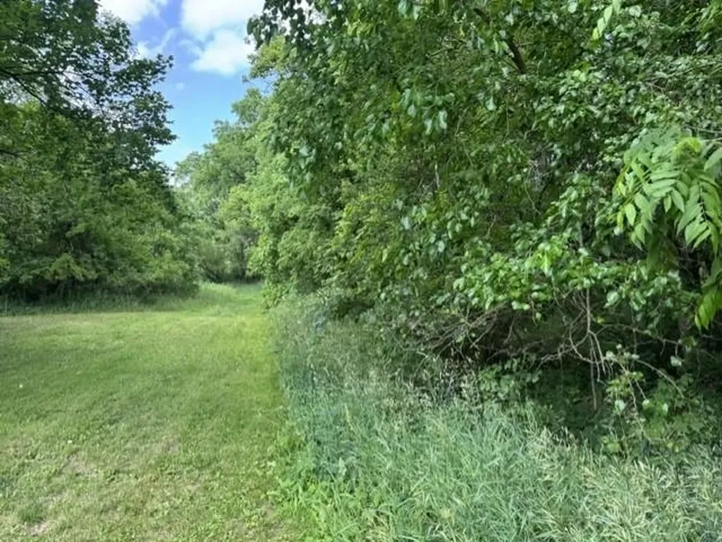 Tbd N Lincoln Stanton City MI 48888