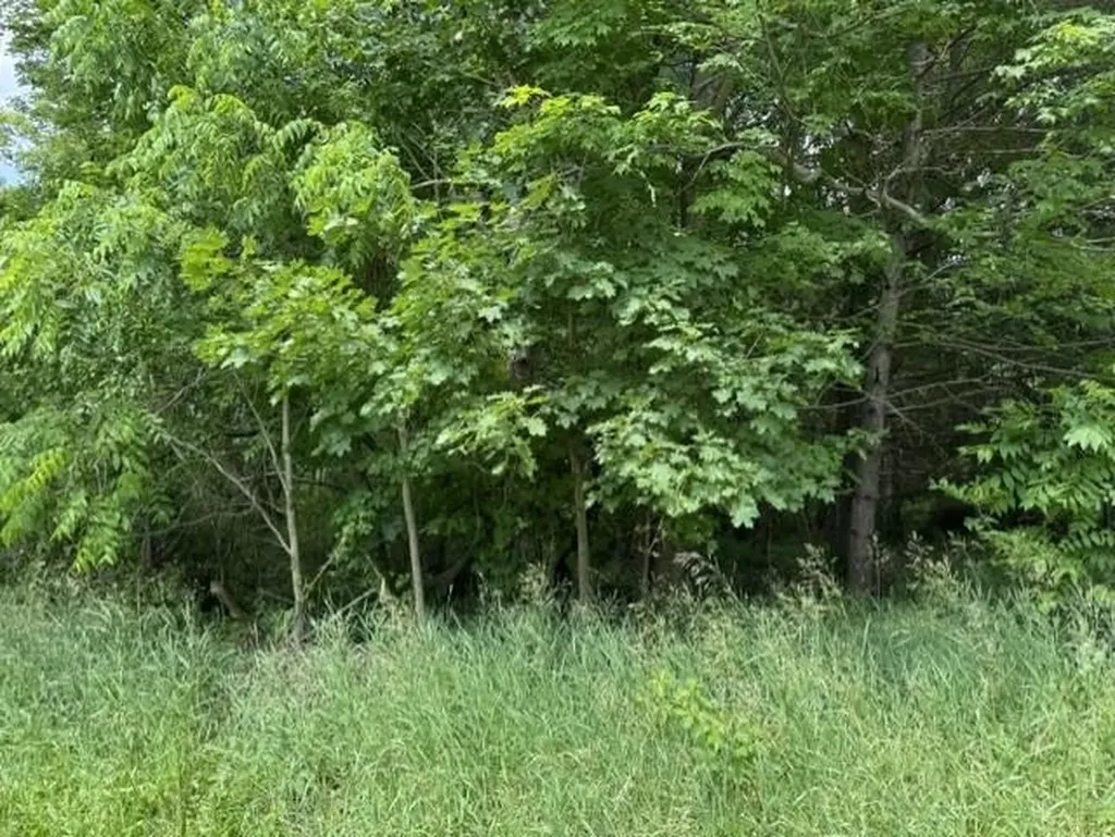 Tbd N Lincoln Stanton City MI 48888