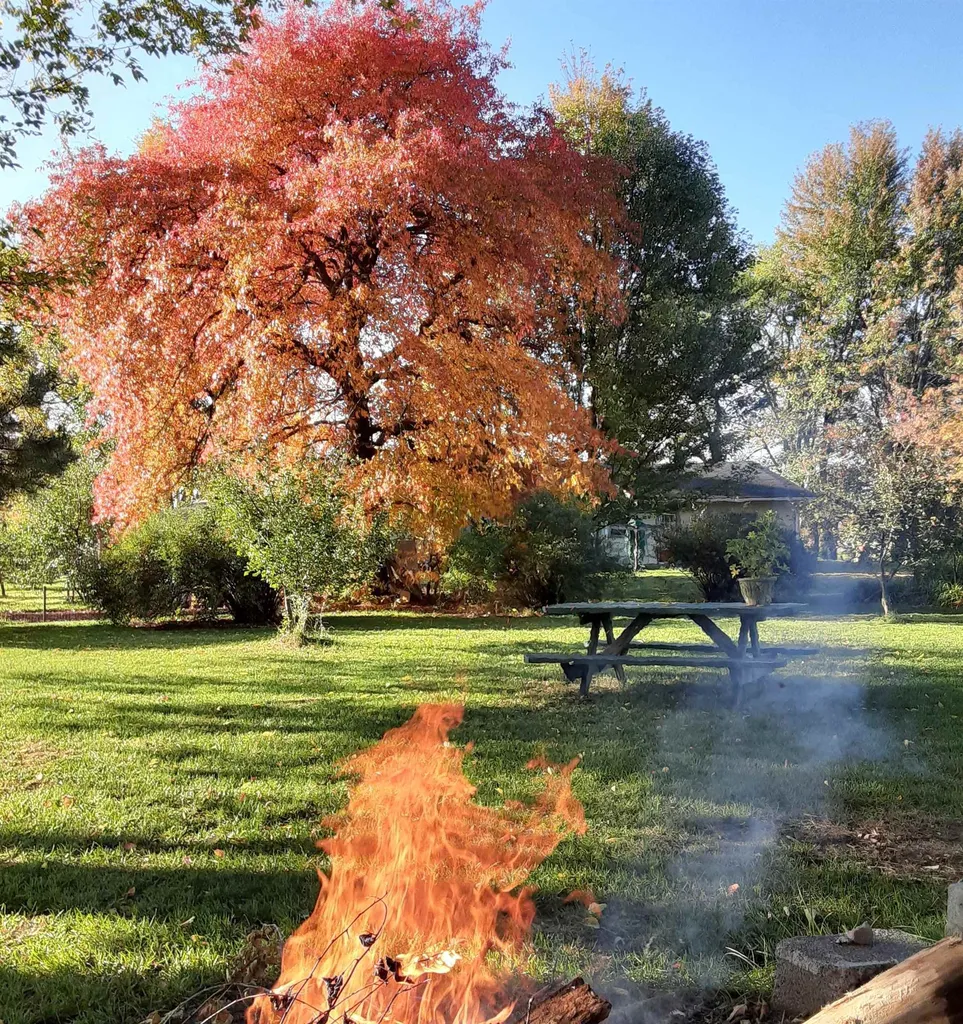 8195 E Broomfield Road Chippewa Township MI 48858