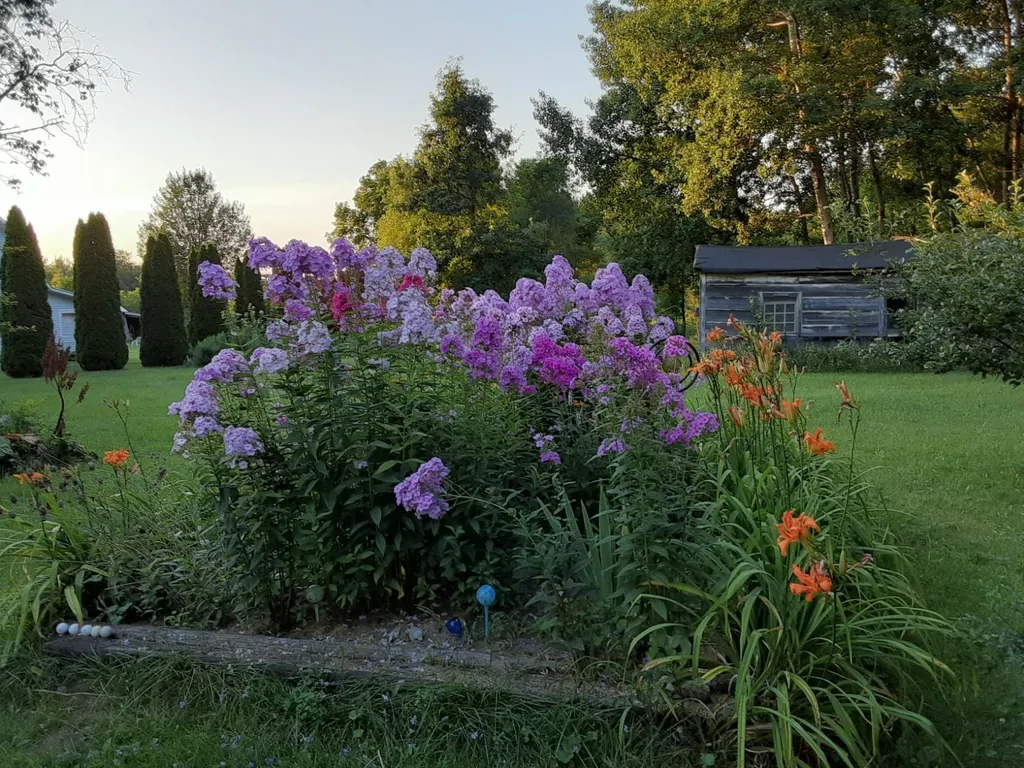 8195 E Broomfield Road Chippewa Township MI 48858