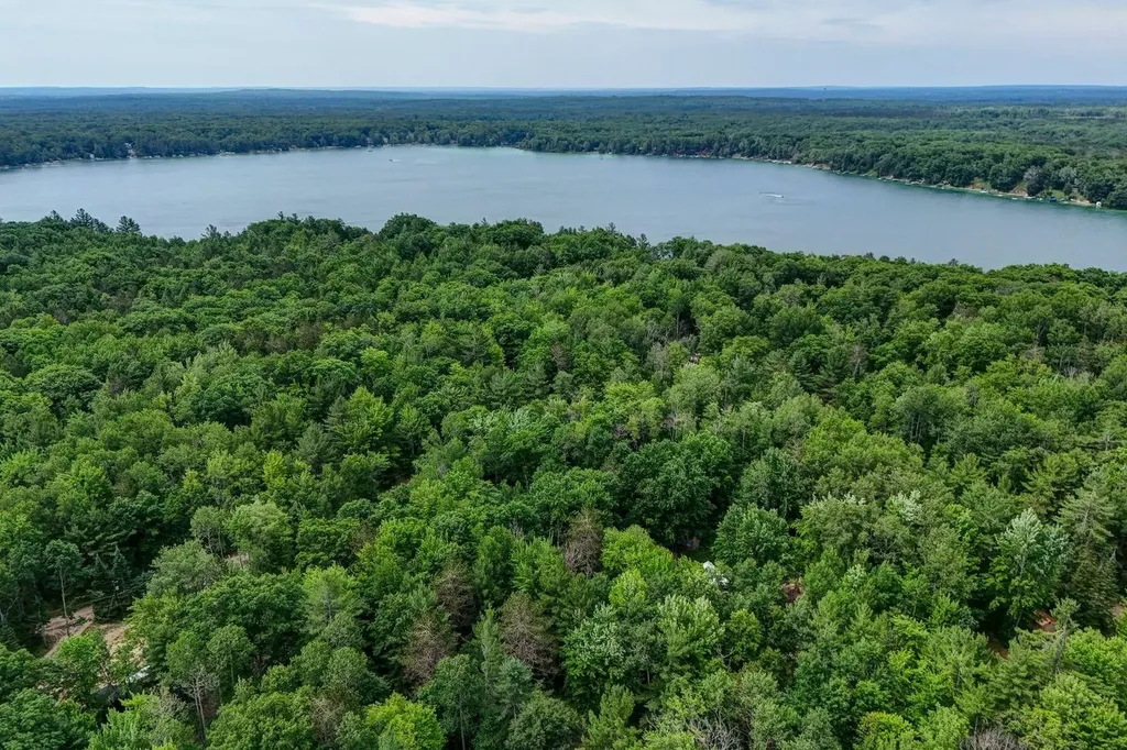 11572 NE Centralia Avenue Bear Lake Township MI 49646