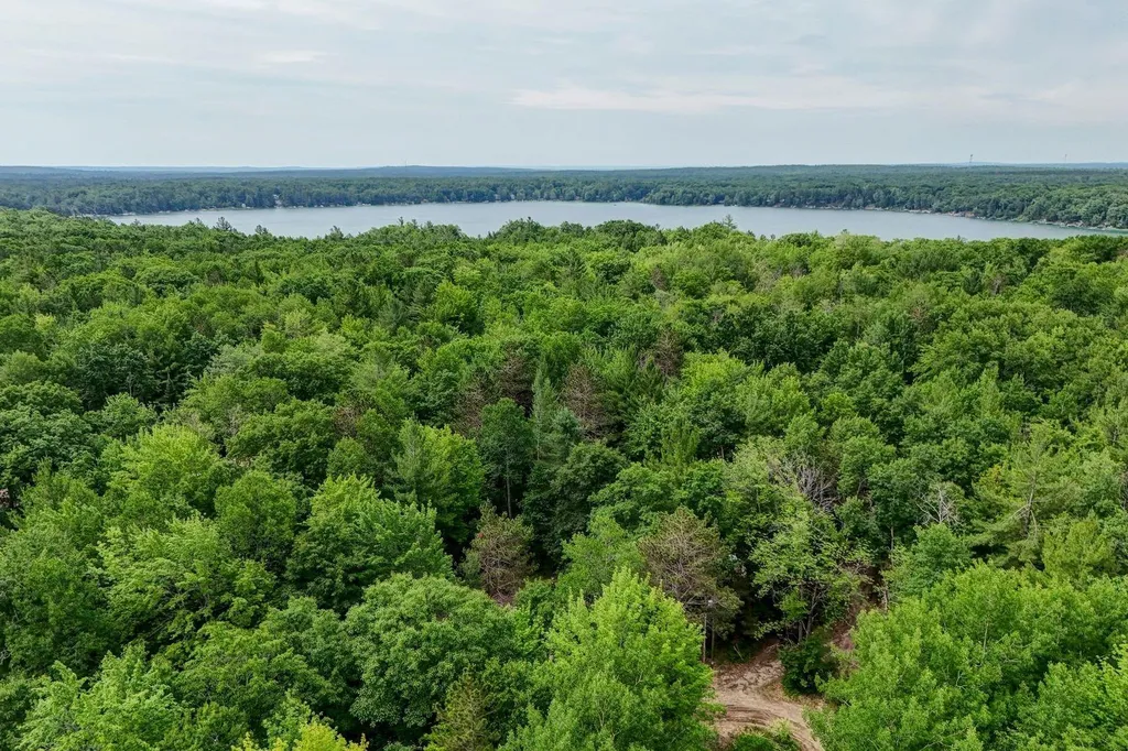 11572 NE Centralia Avenue Bear Lake Township MI 49646