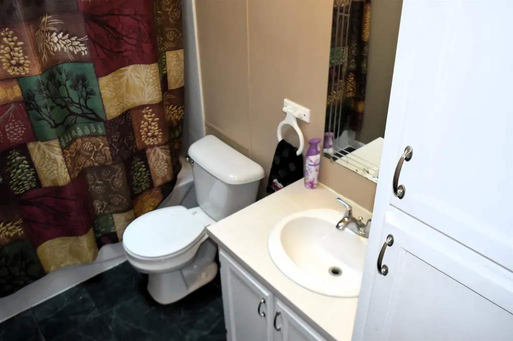 8941 S Mission Road Lincoln Township MI 48858