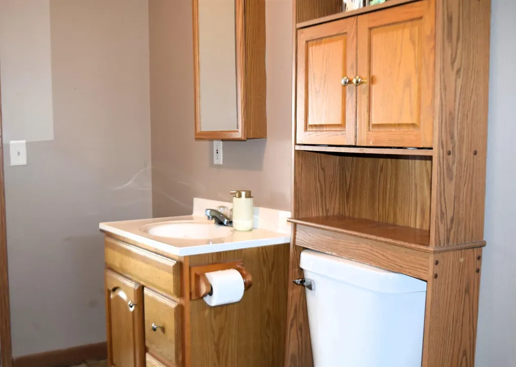 8941 S Mission Road Lincoln Township MI 48858