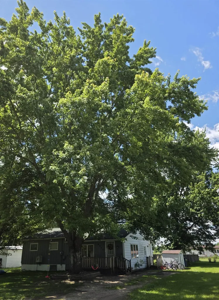 6053 NW Mill Seville Township MI 48877